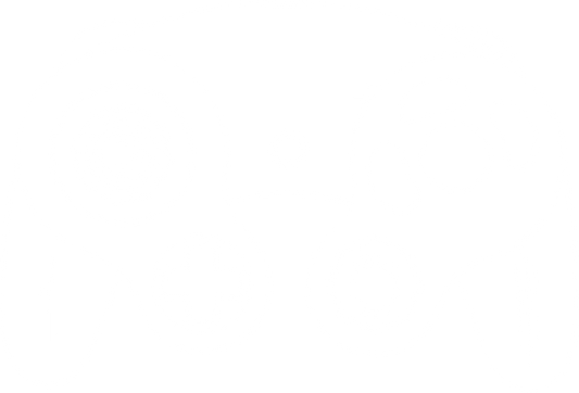 Gamecube Controller Repair